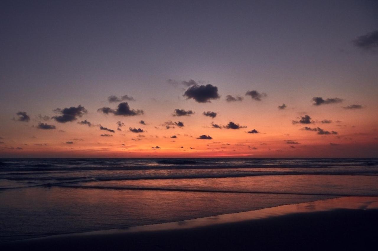 One Acapulco Diamante Otel Dış mekan fotoğraf